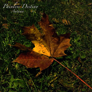 鸡巴日妣妣流水视频
