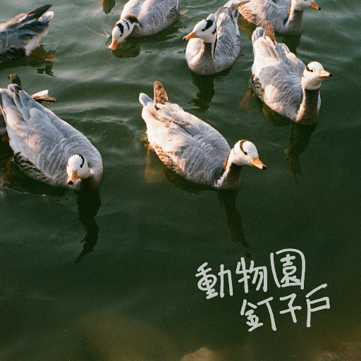 鸡巴日妣妣流水视频
